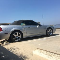 2000 Ford Mustang