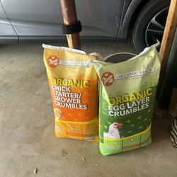 Trust Us With Your Chick And Chickens