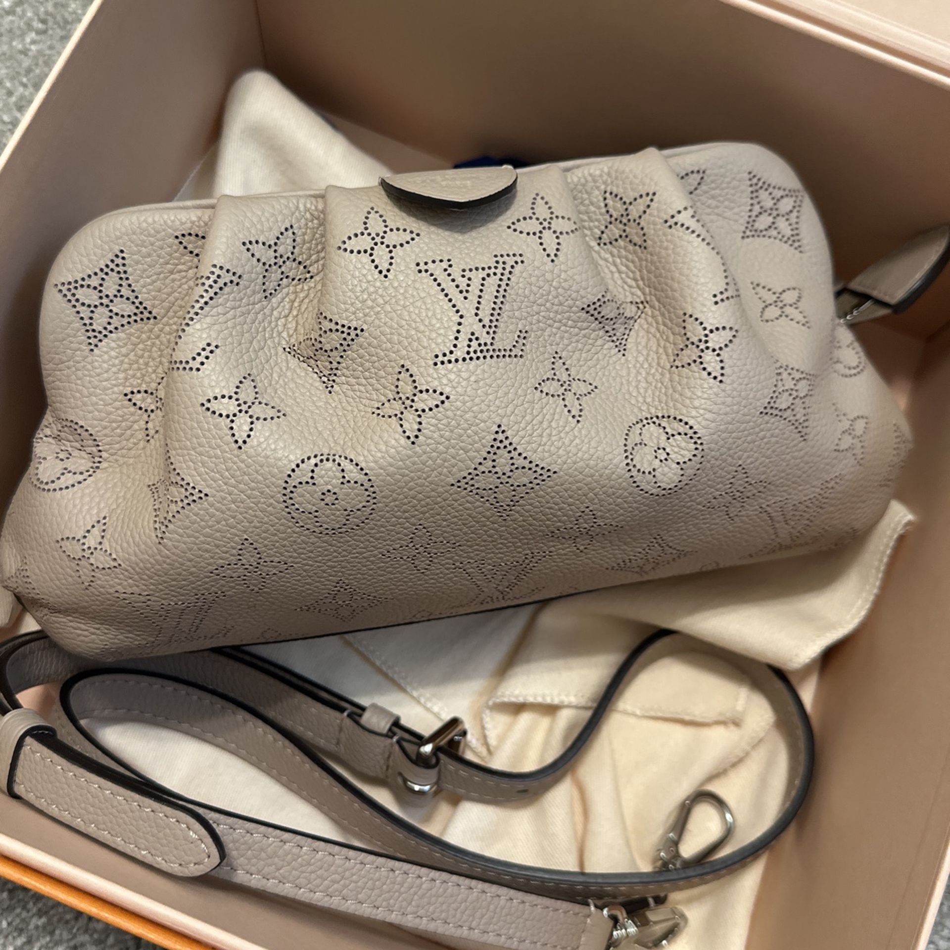 Louis Vuitton, Bags, Authentic Louis Vuitton Scala Mini Pouchcrossbody