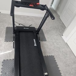 Treadmill And Walker 