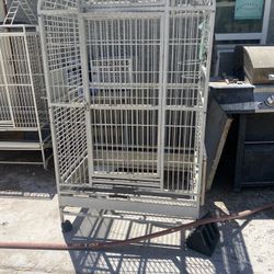 Bird Cage 
