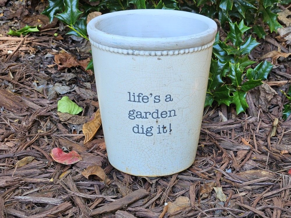 Plant Pot