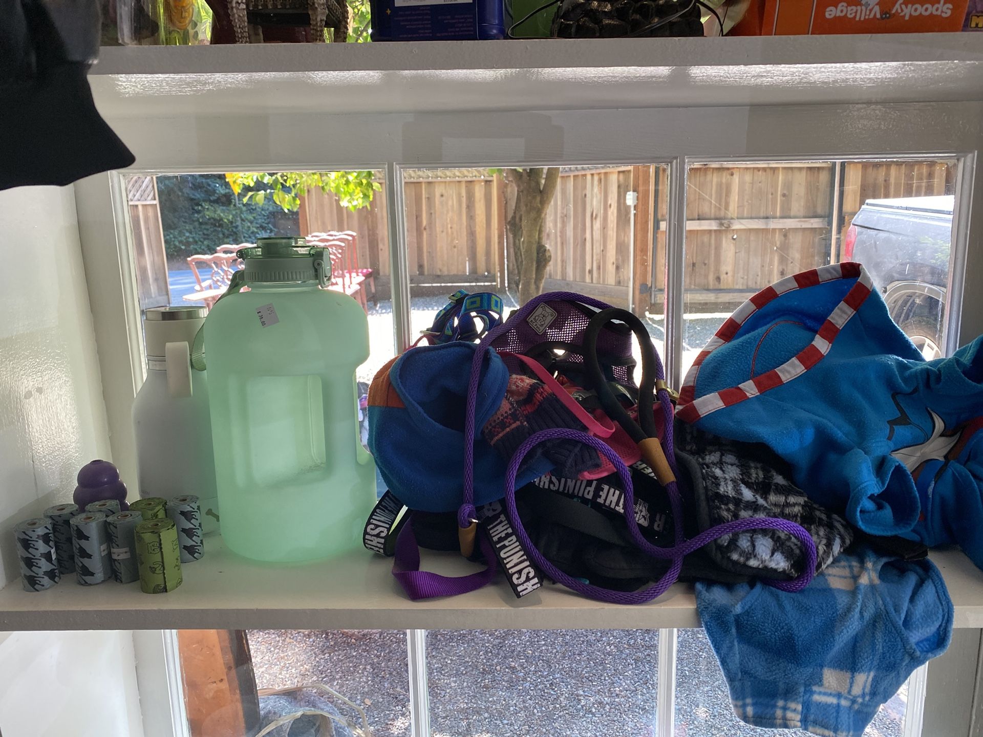 Dog Items
