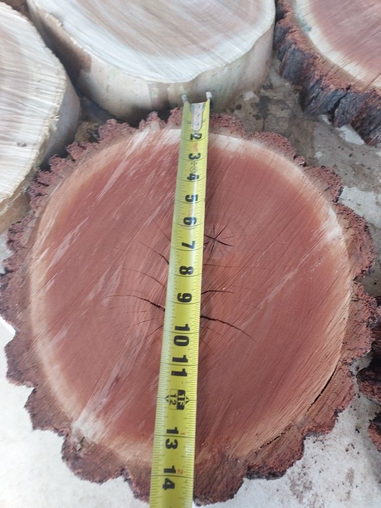 WOOD  SLICES...........
