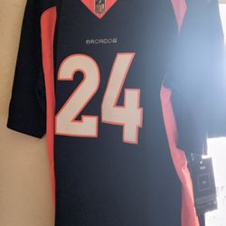 Denver Broncos Legends 