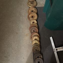 Weights 