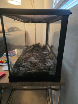 10 gal terrarium w/substrate