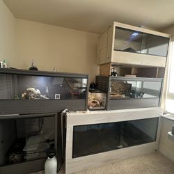 Reptile supplies 