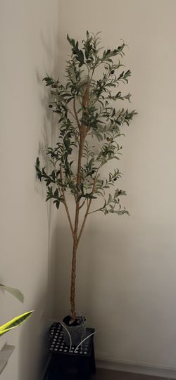 Artificial olive tree - 6 feet