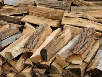 Oak wood/ firewood