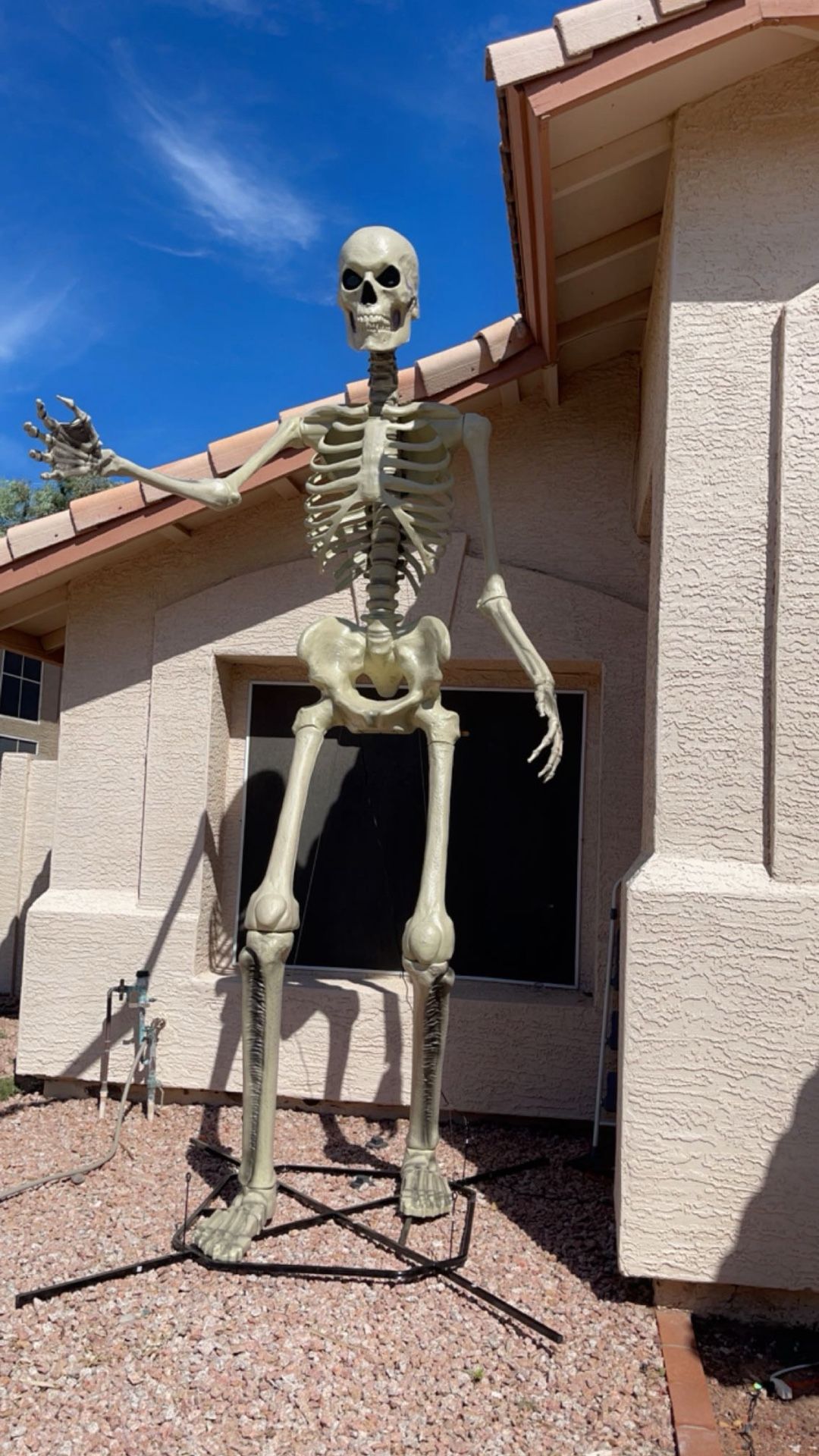 12 Foot Skeleton