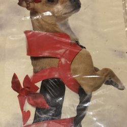 Leg Avenue Puppy Dog Queen Of Hearts Costume Size Medium 