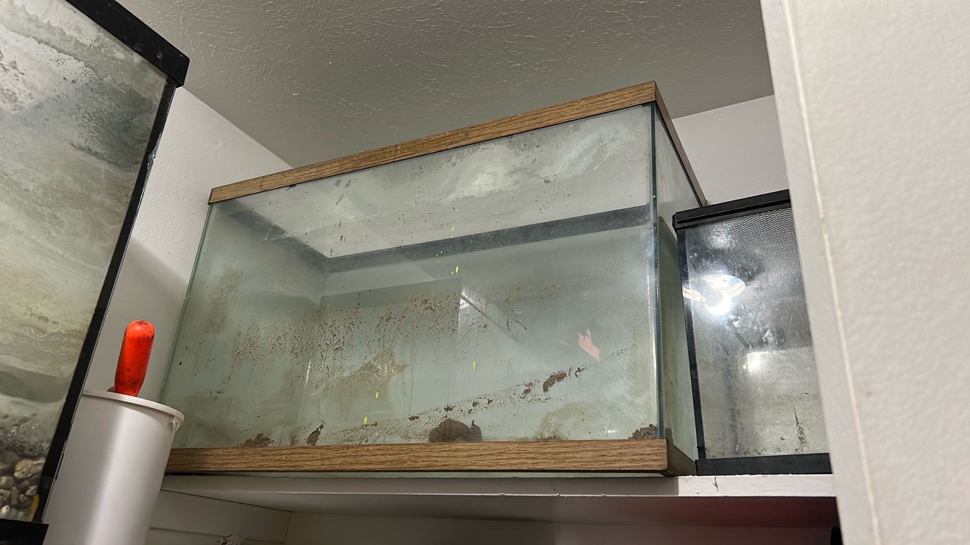 40 Gallon Fish Tank