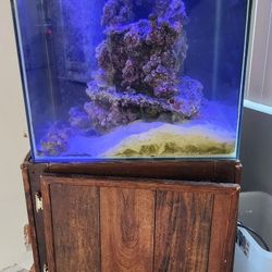 Fish Tank