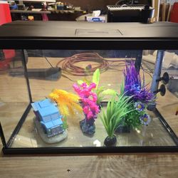 TopFin 10 Gallon Aquarium And Extras
