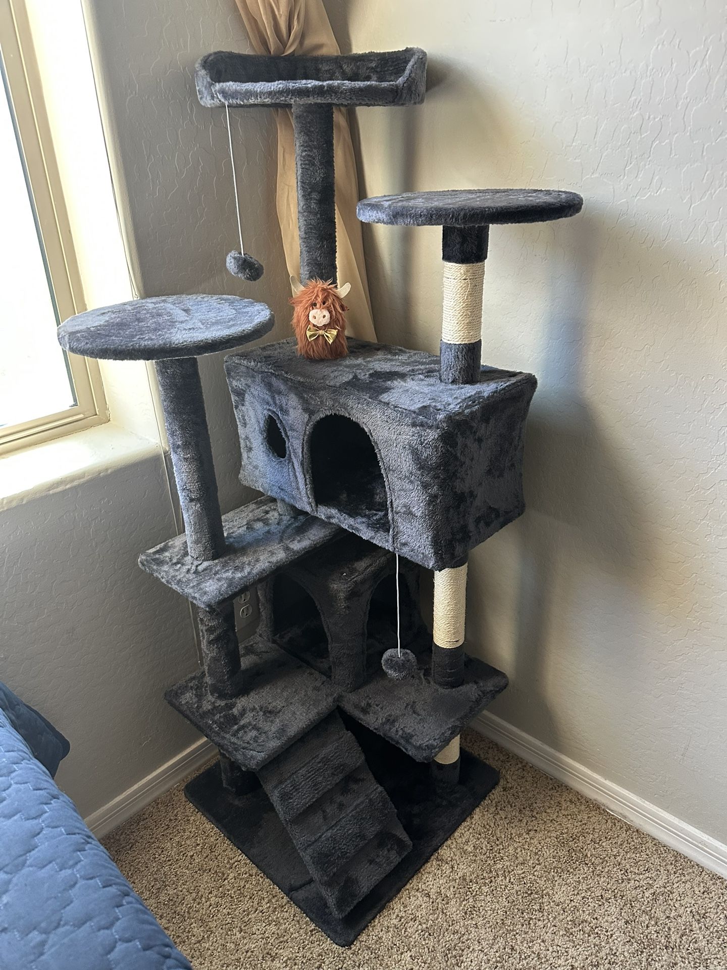 Brand new cat House