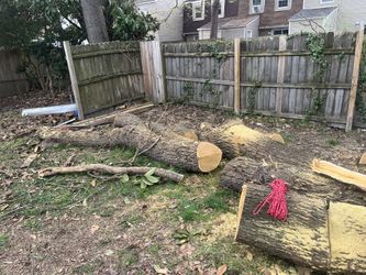 fire wood