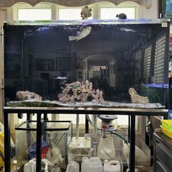 Aquarium Fish Tank 