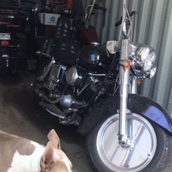 1974 Shovel Head Harley Davidson 