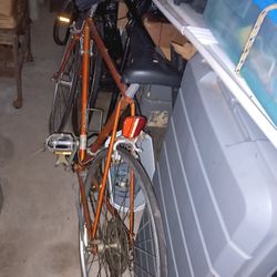 Raleigh 26 Inch Man Bike 