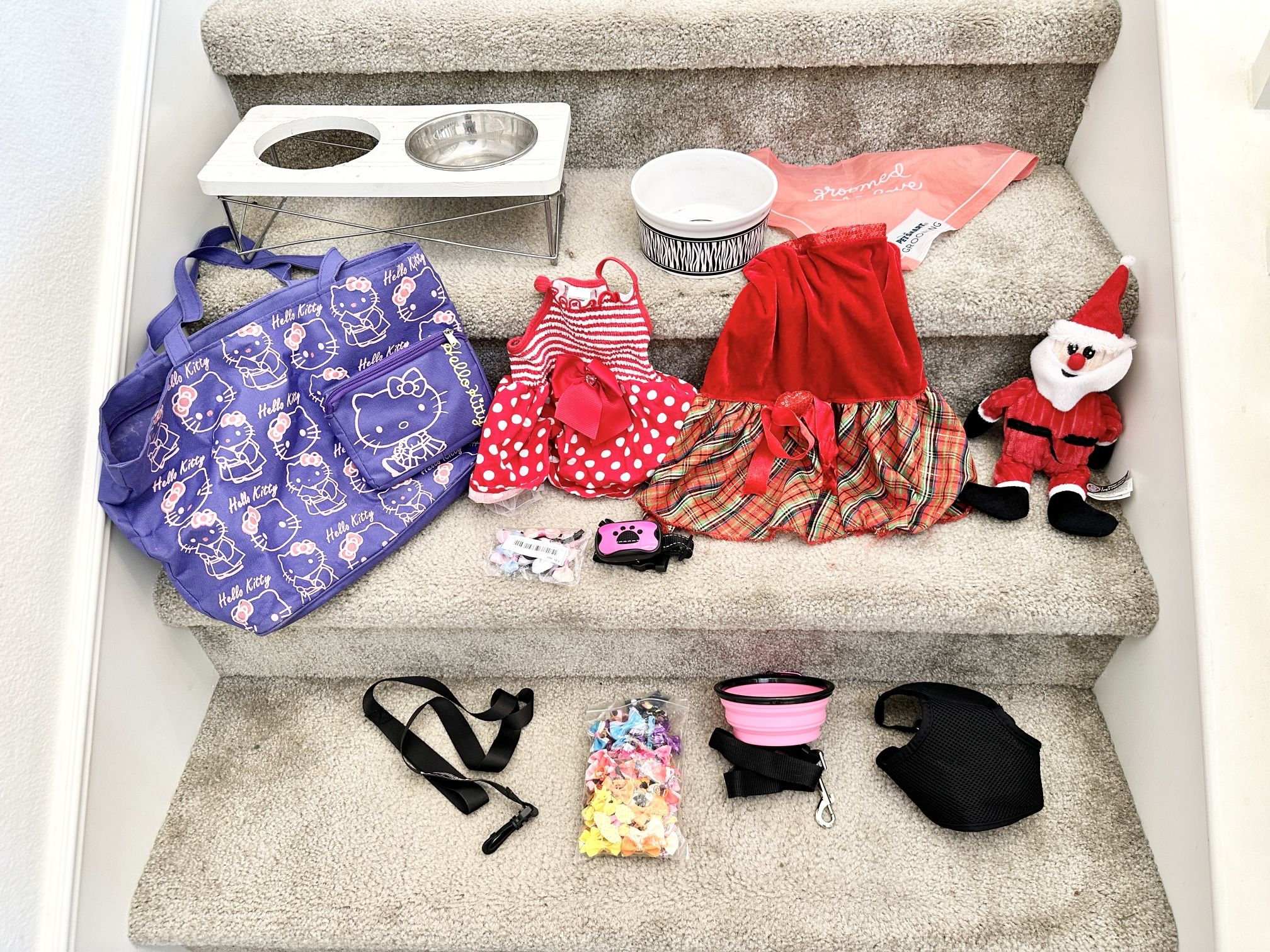 Set of Puppy/Small Dog Supplies & Essentials
