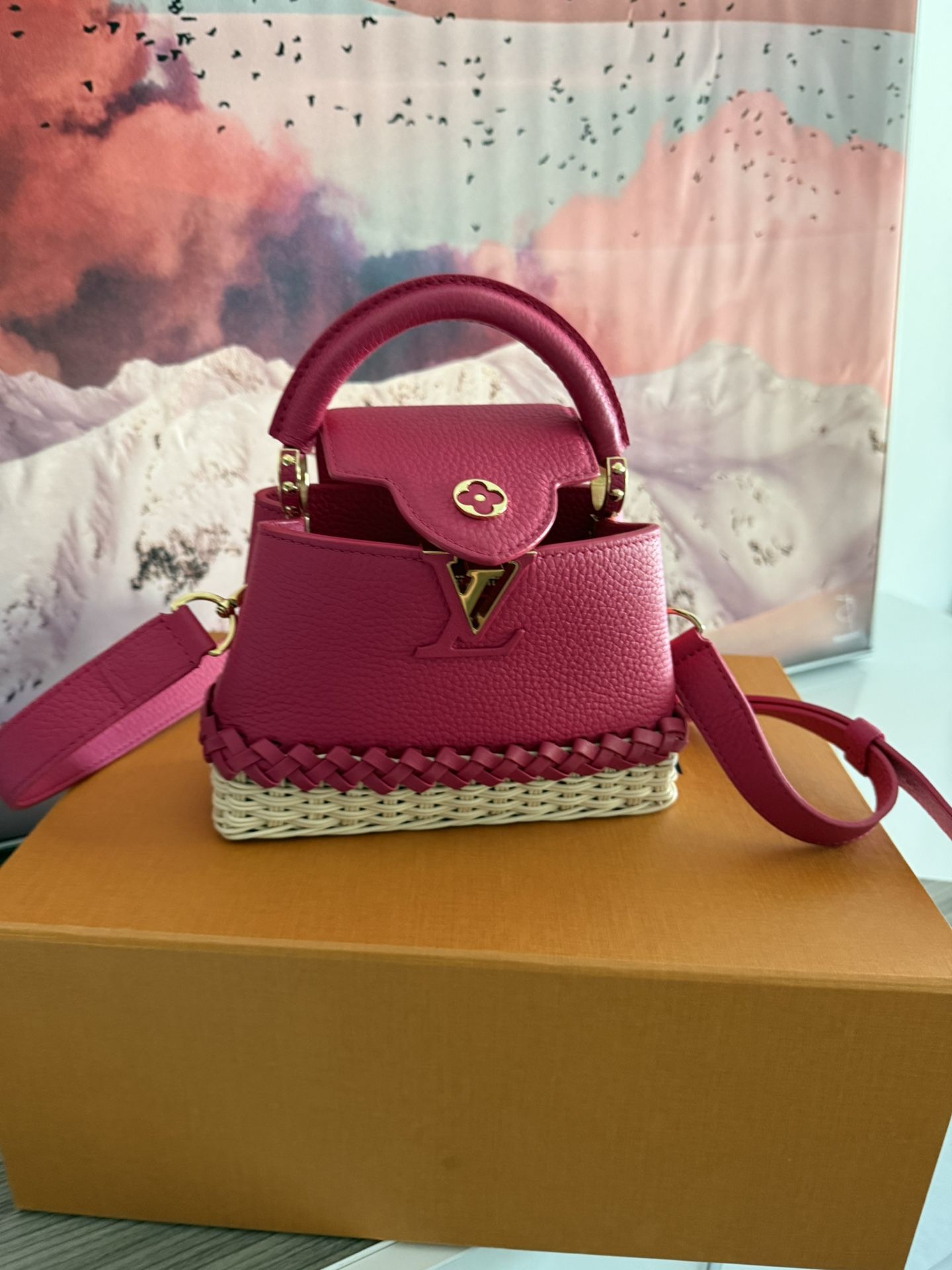 Louis Vuitton Bag