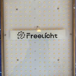 LED Light Freelicht 100W