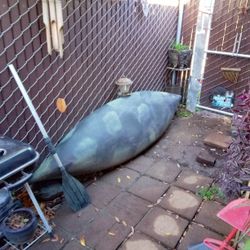 Kayak +Paddle +Fishing Pole Holder $30