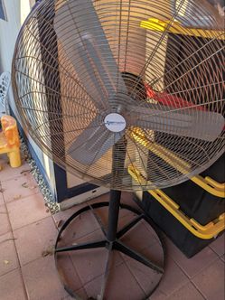 Fan