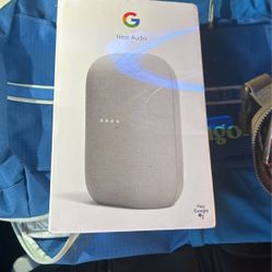 Google nest audio 