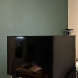 Insignia Flat Screen TV