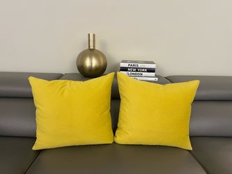Rodeo Home Yellow/Gold Decorative Throw Pillows – Set of 2 – Feather Filled