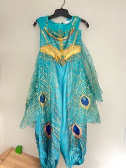 Jasmine costume (size 8-10year old )
