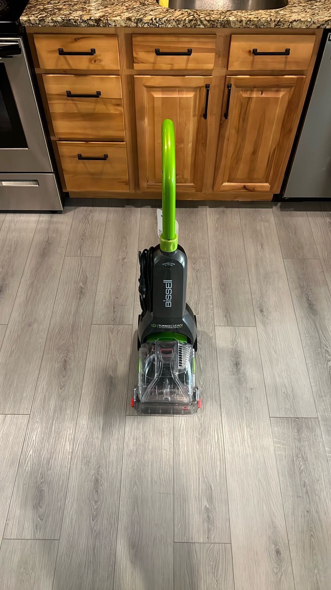 Bissell Carpet Cleaner