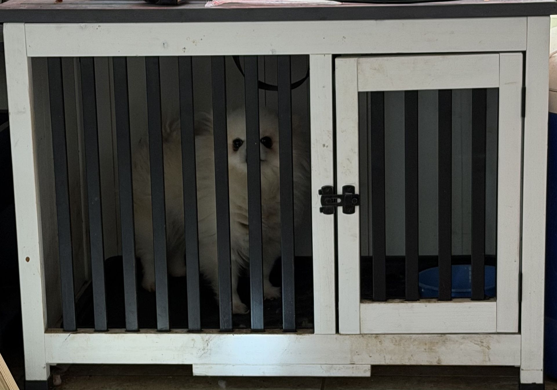 Dog Kennel Small Dogs