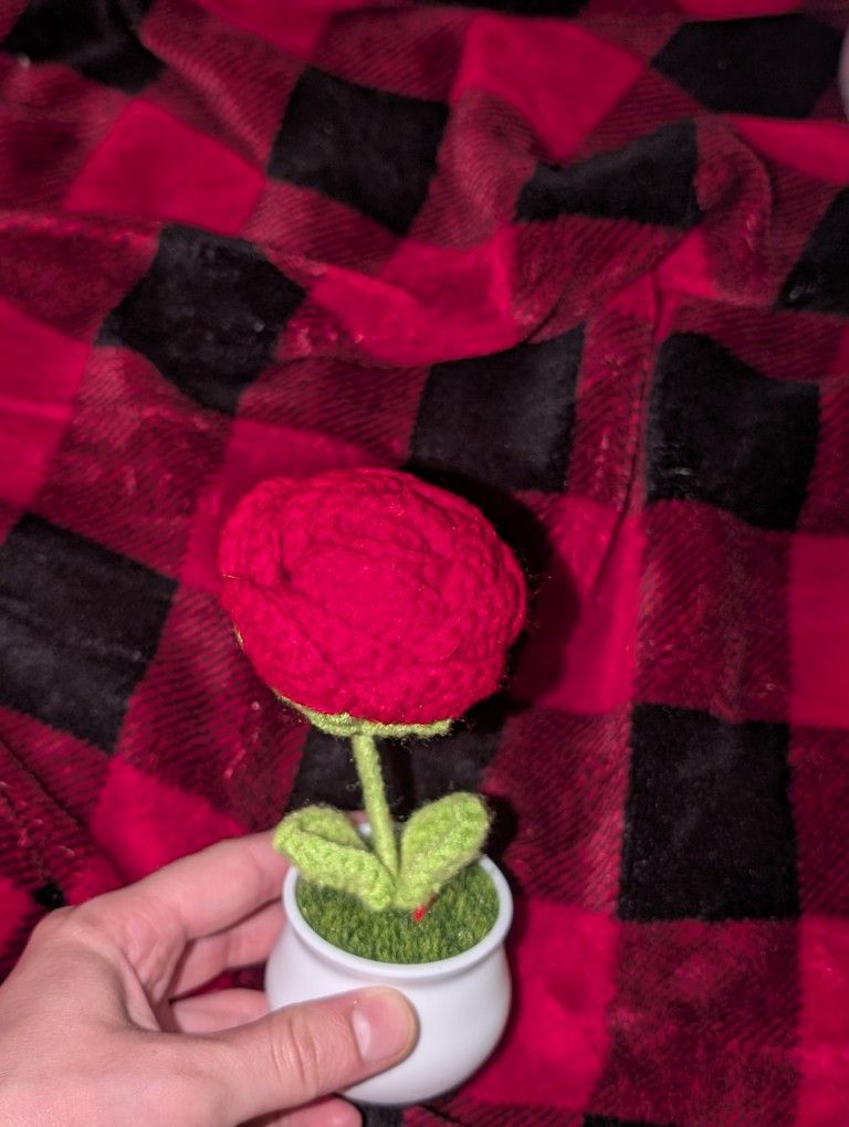 Rose Crochet