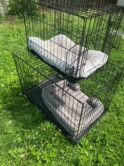 Dog items