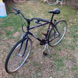 Trek MultiTrack Bike