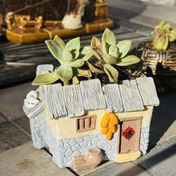 🎁 House Warming Gift 😊 House Planter🏠 W Succulents 🪴 