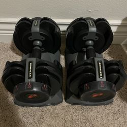 BowFlex Adjustable Dumbbells
