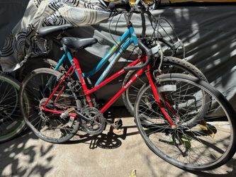 6 Bikes