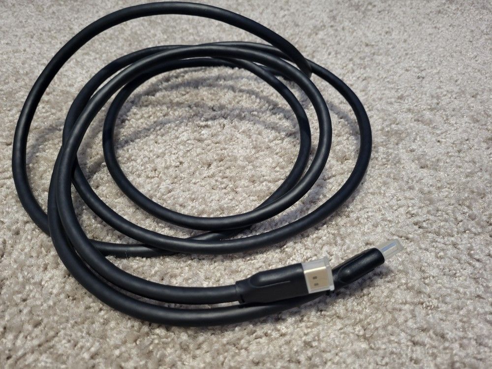 10 Foot DisplayPort 1.4