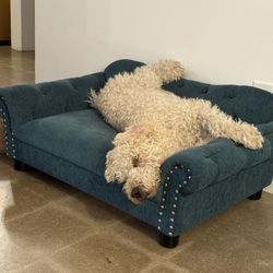 Green Lazy Boy Dog Couch