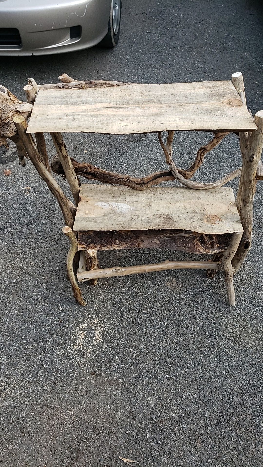 Light brown driftwood plant holder