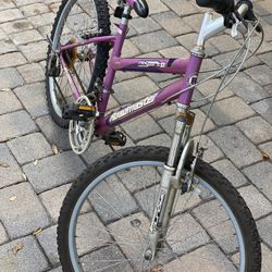 Bike Roadmaster 24”