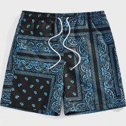 Bandanna Shorts 