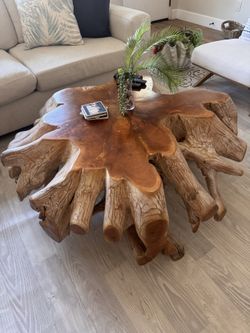 Cypress Root Coffee Table
