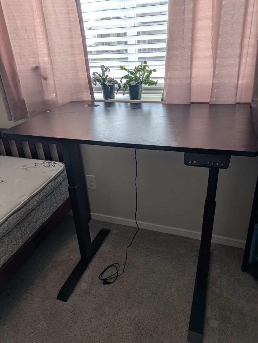 Standing Desk