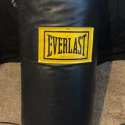 Everlasting Punching Bag 40 Pounds 