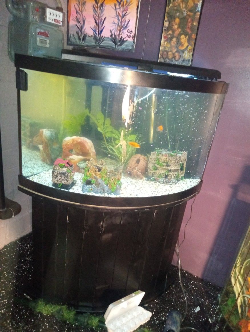 To Fish Tank And A New In The Box Heat Press 
